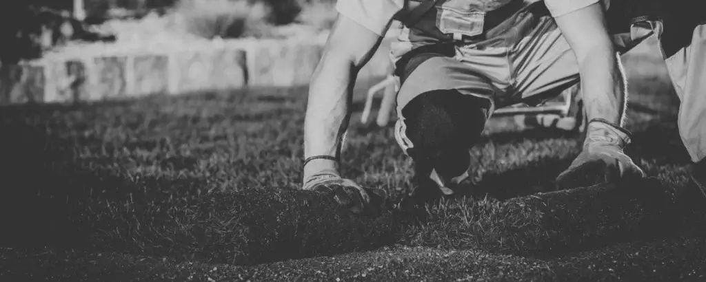 Profissionais de paisagismo trabalhando em um projeto completo de landscaping nos EUA, incluindo plantio, instalação de grama e design de jardim.